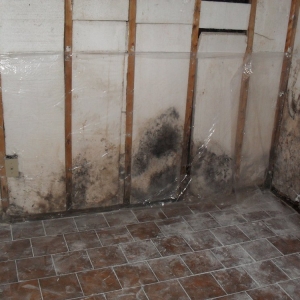 Photo of Keen Remediation