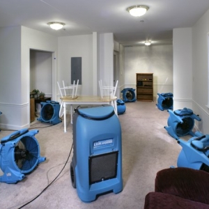 Photo of Keen Remediation