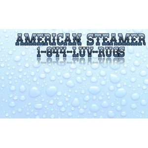Photo of American Steamer Carpet Cleaner