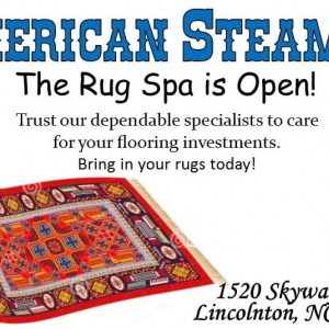 Photo of American Steamer Carpet Cleaner