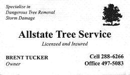 Photo of Allstate Tree Service