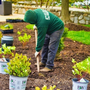 Photo of SBC Outdoor Services