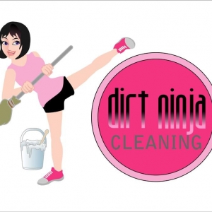 Pittsburgh Dirt Ninja Cleaning