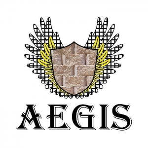 Photo of Aegis Retaining Wall Design