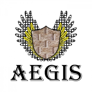 Photo of Aegis Retaining Wall Design