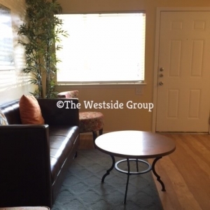 Photo of Waterston Studios