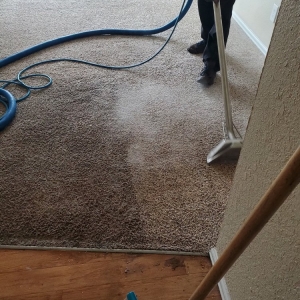 Photo of The One Carpet Cleaning