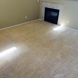 Photo of The One Carpet Cleaning