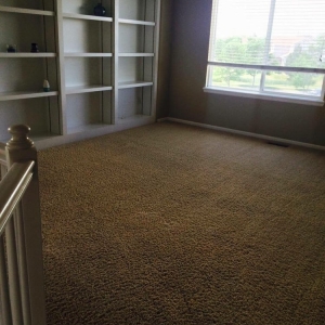 Photo of The One Carpet Cleaning