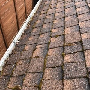 Kirkland Apex Roof Repair & Maintenance