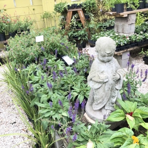 Houston New Roots Landscaping