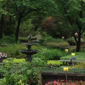 Photo of Gurley's Azalea Garden