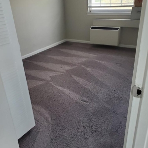Photo of Oxi Fresh Carpet Cleaning