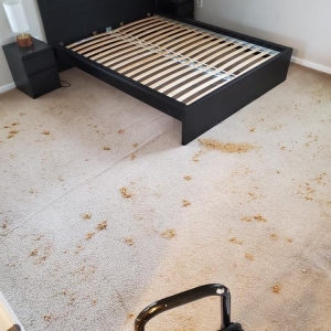 Photo of Oxi Fresh Carpet Cleaning