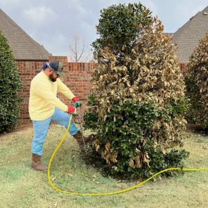 Photo of Sooner Turf Weed Control And Lawn Care