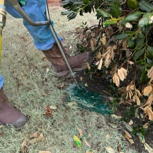 Photo of Sooner Turf Weed Control And Lawn Care