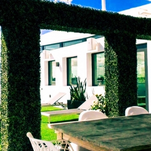 Photo of Green Label Turf & Ivy