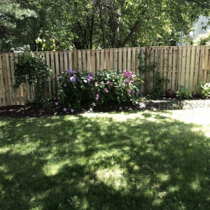 Photo of N F L Fence