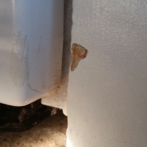 Photo of Adair Floors n More