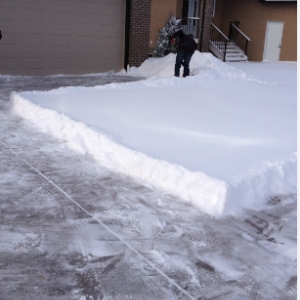 Photo of 4 Seasons Care
