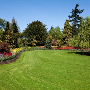 Photo of Rock Solid Landscape & Irrigation