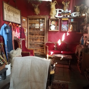 Photo of The Grand Artique
