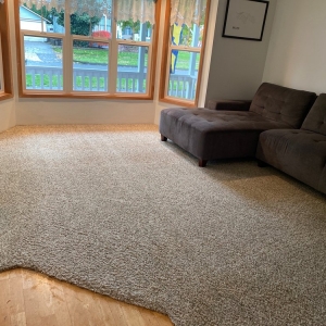 Photo of GT Carpet Cleaning