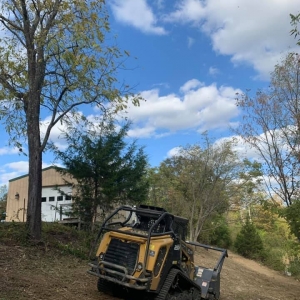 Photo of B&N Land Management