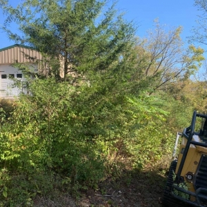 Photo of B&N Land Management