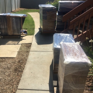 Photo of All Moving
