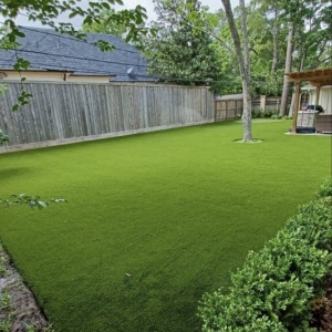 Photo of SYNLawn Mississippi