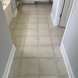 Photo of Sir Grout of NE Florida