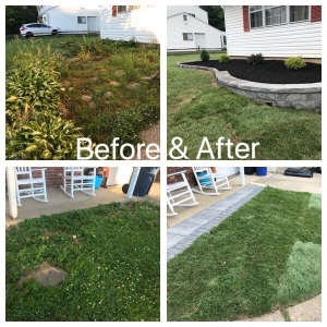 Photo of Fox Landscape Designs