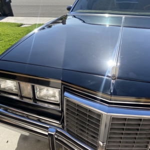Photo of JL Auto Detailing