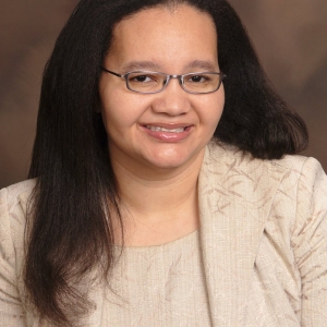 White Plains Mishael M. Pine, Attorney at Law