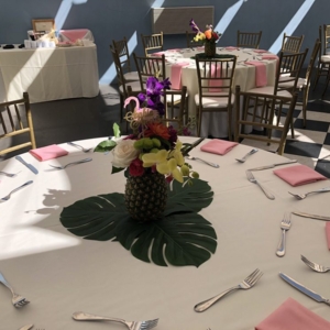 Photo of Sunshine Designs