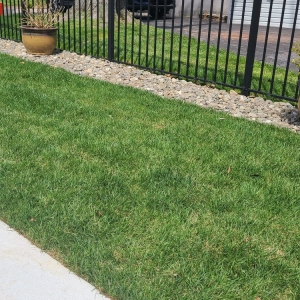 Norristown Mex Landscaping