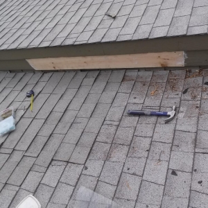 Photo of AcEco Extermination & Insulation