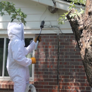 Photo of AcEco Extermination & Insulation