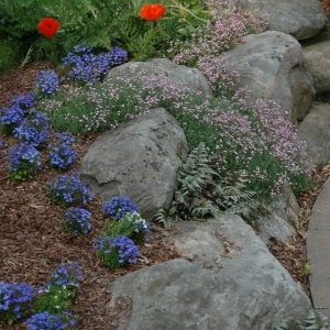 Photo of Garden Concepts Landscape Design