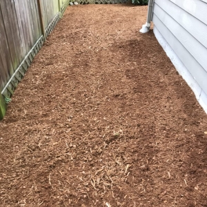 Seattle Kleangel Cleaning