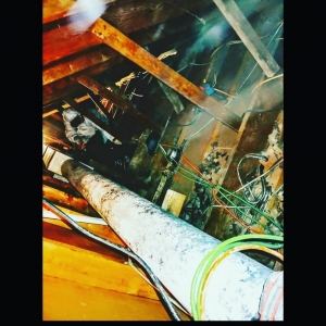 Photo of Complete Detail Cleaning & Restoration
