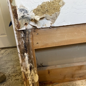 Photo of Align Restoration