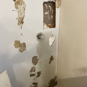 Photo of Align Restoration