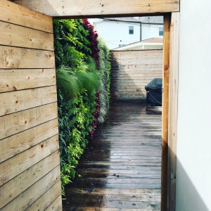 Houston Telloc Landscape & Construction