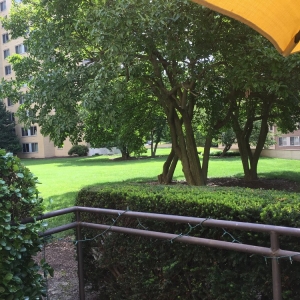 Photo of The Brandywine