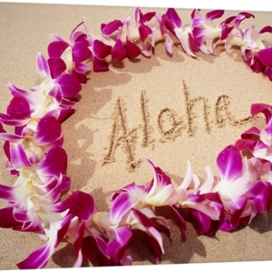 Photo of ALJ Tax and Accounting Services