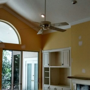 Photo of Apex Pro Painting