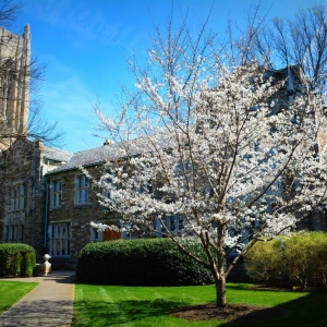 Photo of Scarritt Bennett Center