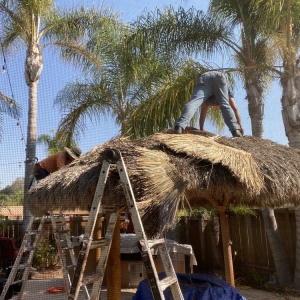 Photo of Tropical Shade Imports